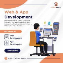 Web and App Development (1)