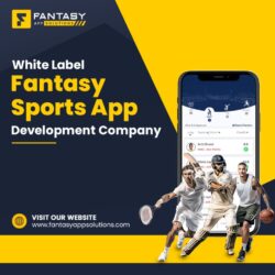 White Label Fantasy Sports App Development Company