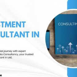 investment consultant in uae