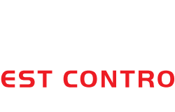 Bayswater-Logo
