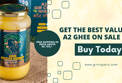 get-the-best-value-1-kg-a2-ghee-on-sale-girorganic