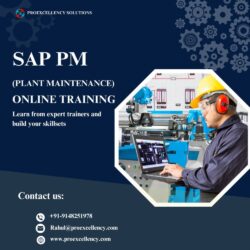 SAP PM PLANT MAINTAINENCE (1)
