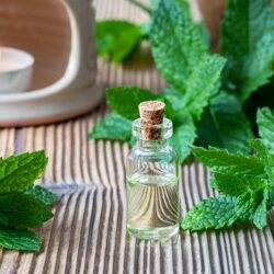 menthol oil manufacturers in India (23)
