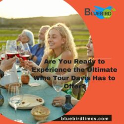 Are You Ready to Experience the Ultimate Wine Tour Davis Has to Offer