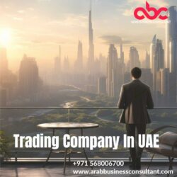 Company Formation in Dubai (10)