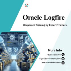 Oracle logfire