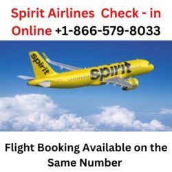 Spirit Airlines Check - in Online +1-866-579-8033