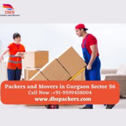 Packers and Movers in Gurgaon Sector 56