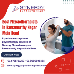 Best Physiotherapists in Ramamur (2)