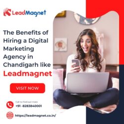 The Benefits of Hiring a Digital Marketing Agency in Chandigarh
