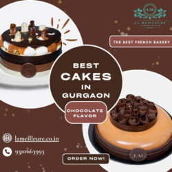Why La Meilleure Is The Best French Bakery In Gurgaon For Cakes (1) (1)