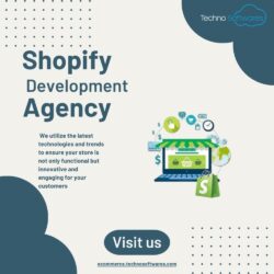 Powerful Development Services in India to Boost Your Shopify Store