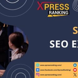 seattle seo experts (2)