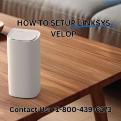 How to setup Linksys Velop (1)
