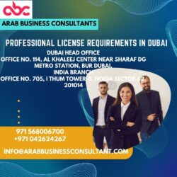 Professional License Requirements in Dubai