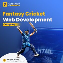 Fantasy Cricket Web Development Company