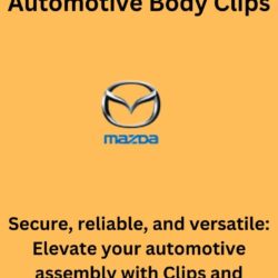 Automotive Body Clips (2)