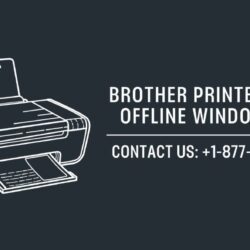 Brother Printer Says Offline Windows 10 (1)
