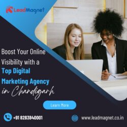 Boost Your Online Visibility with a Top Digital Marketing Agency in Chandigarh