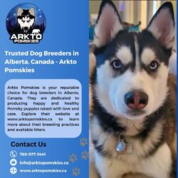 puppies for sale in Alberta Canada