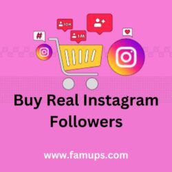 buy real Instagram followers (1)