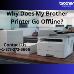 why does my brother printer Go Offline