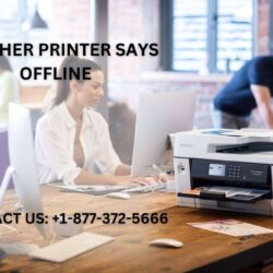 Brother Printer Says Offline