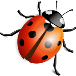 ladybug-2k6_icon