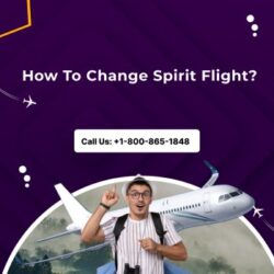 How To Change Spirit Flight 1