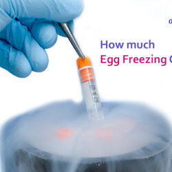 Egg freezing cost