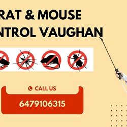 Rat & Mouse Control Vaughan