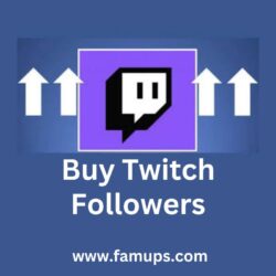 buy Twitch followers (7)