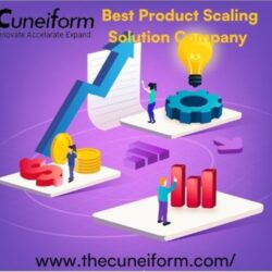Best Product Scaling Solution Company USA
