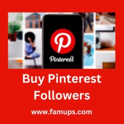 buy Pinterest followers (3)