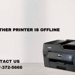 Why Brother Printer Is Offline