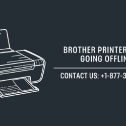 Brother Printer Keeps Going Offline