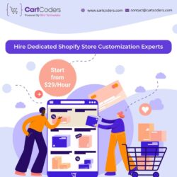 Best Shopify Customization Services to Create a Unique Online Store