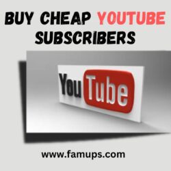 buy cheap YouTube subscribers (2)