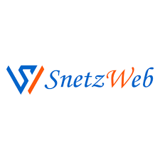snetzweb logo (2)
