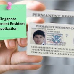 Singapore PR Application Assistance Services Available