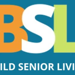 BSL-logo-1-e1671097999302