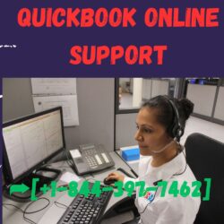 QUICKBOOK Online  SUPPORT  (1)