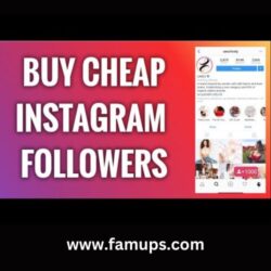 buy Cheap Instagram followers