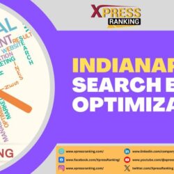 Indianapolis Search Engine Optimization