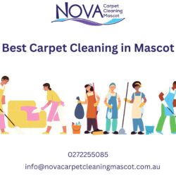 Carpet Cleaning Mascot
