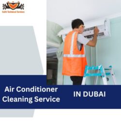 Air Conditioner Cleaning Service