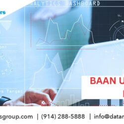 BAAN Users Email List