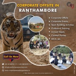 Ranthambore- 800