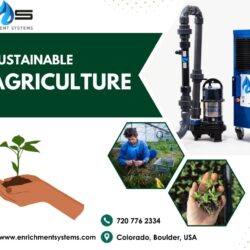 Explore One of The Best Sustainable Agriculture  Enrichment Systems