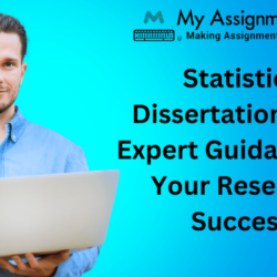 Statistics Dissertation Help Expert Guidance for Your Research Success (1)